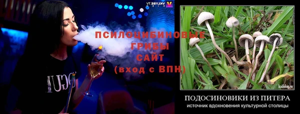 Альфа ПВП Кодинск