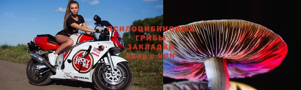 наркотики Заполярный