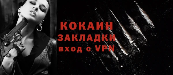 крисы Козловка