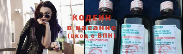 крисы Козловка