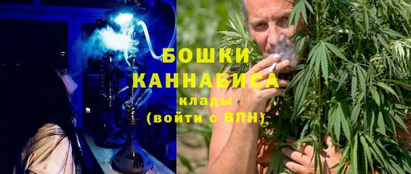 крисы Козловка