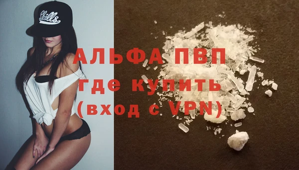 ПСИЛОЦИБИНОВЫЕ ГРИБЫ Козельск
