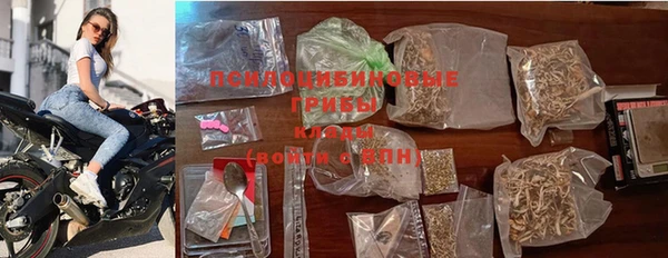 ПСИЛОЦИБИНОВЫЕ ГРИБЫ Козельск