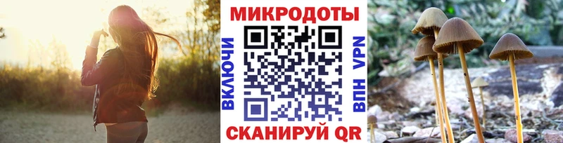 Купить где  Искитим  Псилоцибиновые грибы Psilocybe 